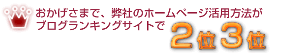 ブログランキングサイト2位！