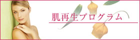 肌再生プログラム